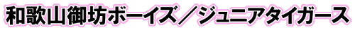 和歌山御坊ボーイズ／ジュニアタイガース